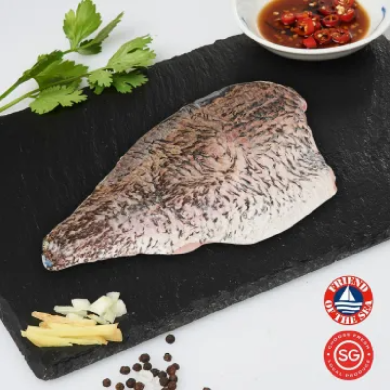Barramundi Fillet
