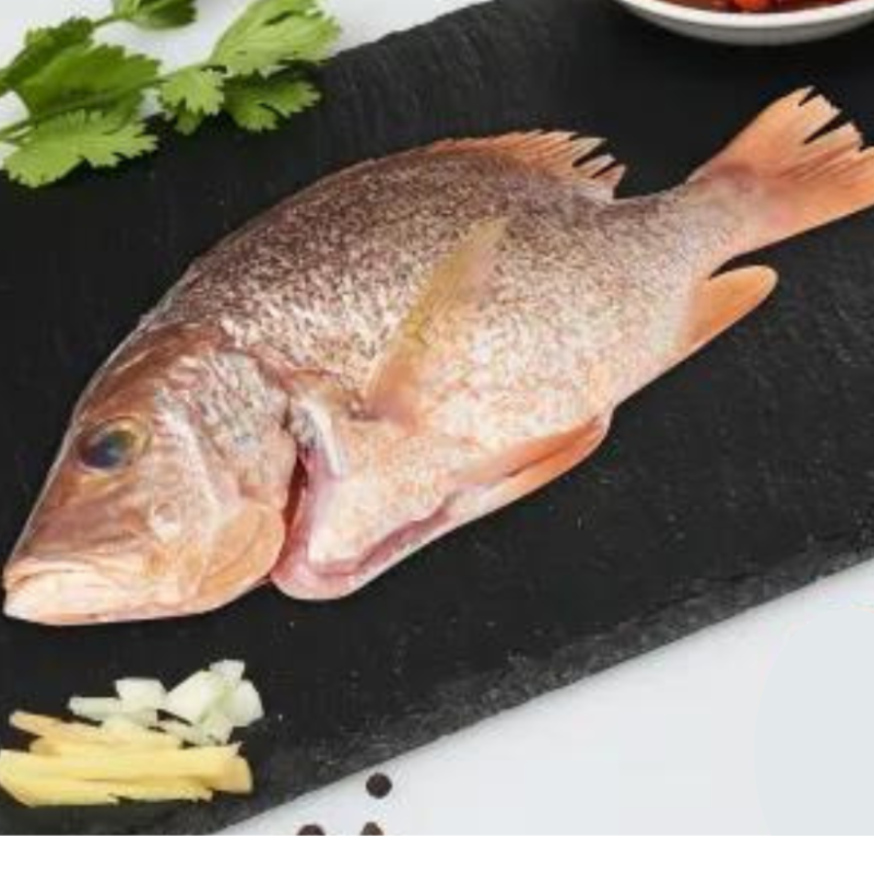 Red Snapper Whole
