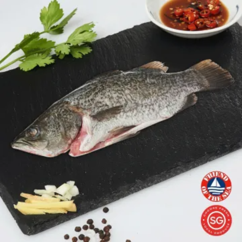 Barramundi Whole
