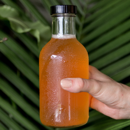 Kombucha