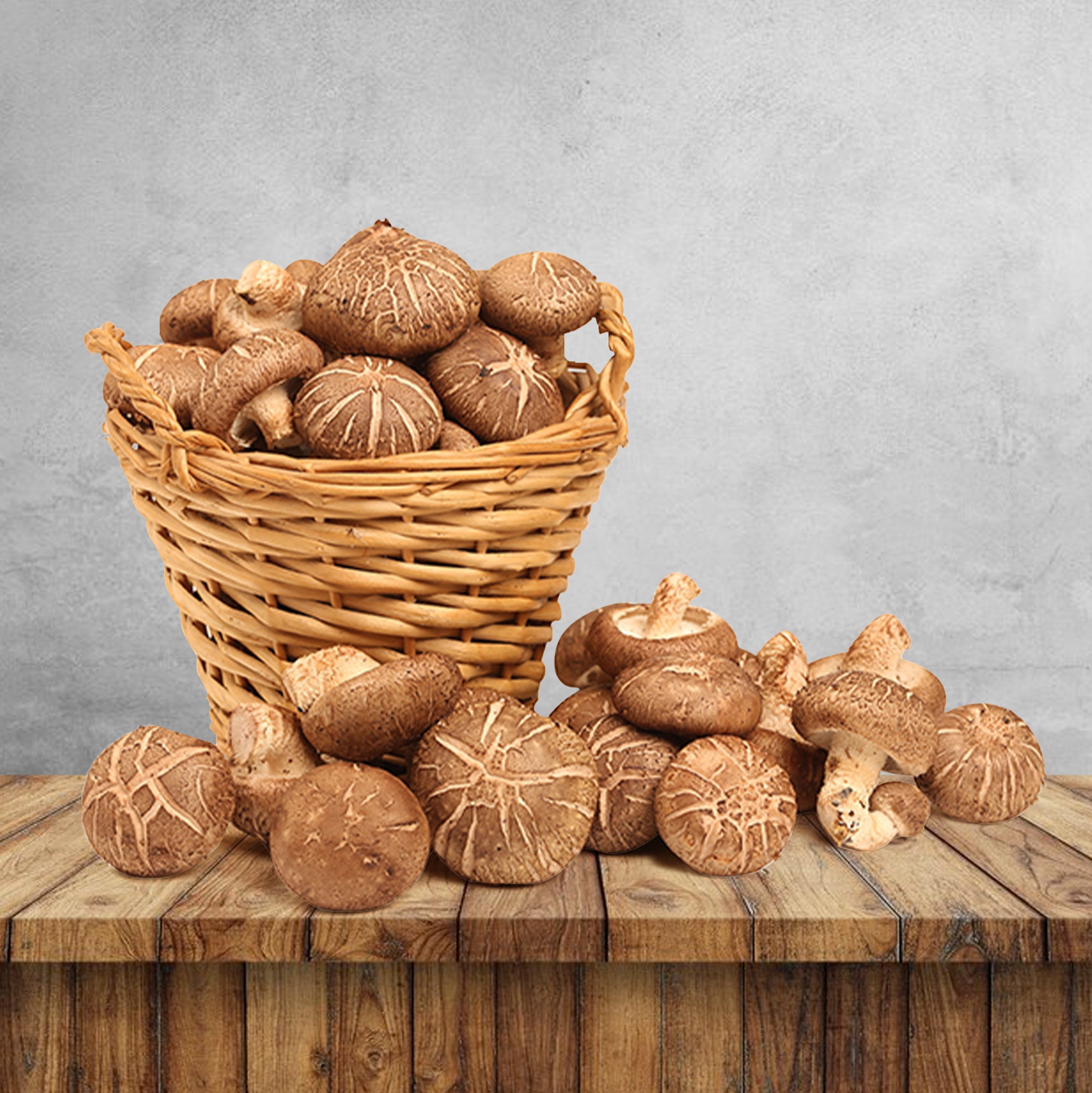 Mushroom - Season&