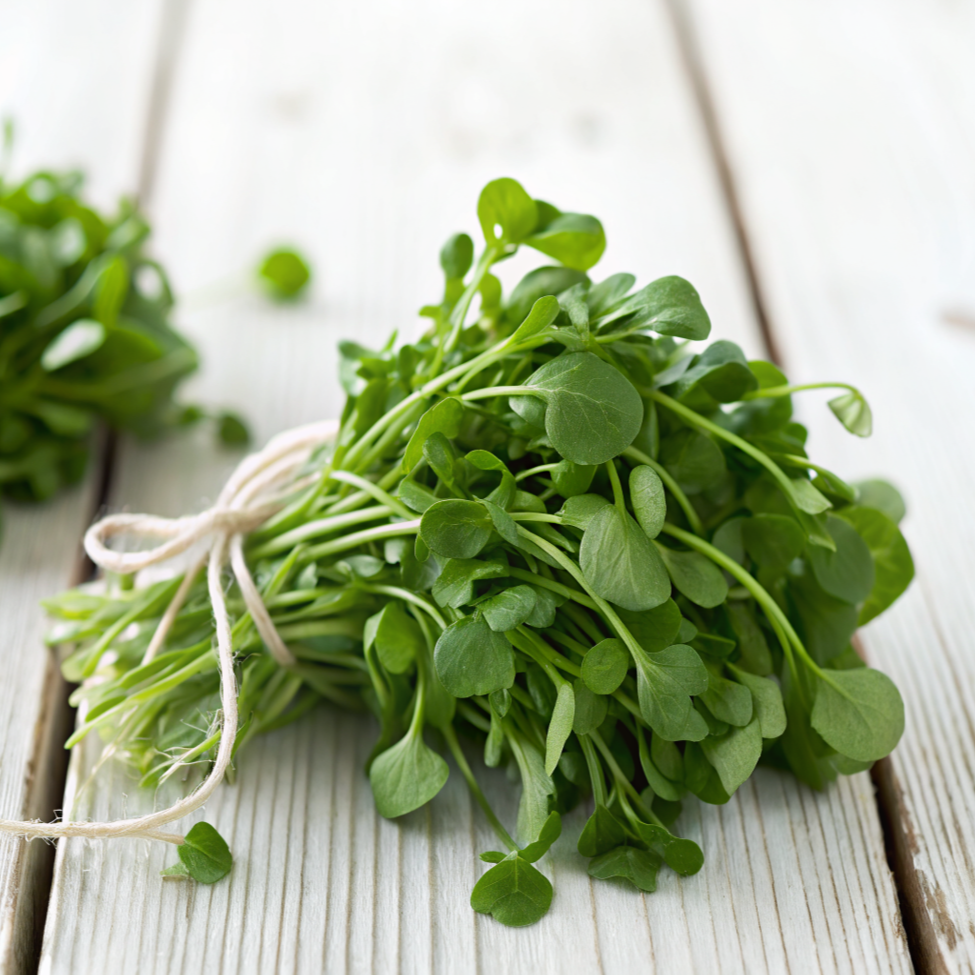 English Watercress