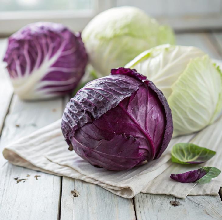 Cabbage - Season&