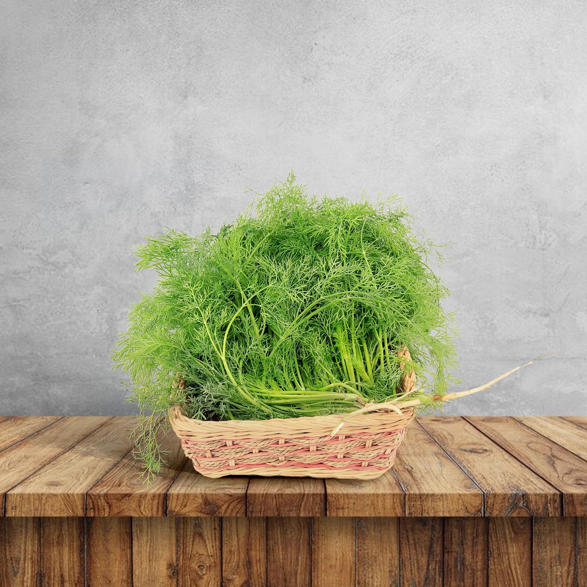 Fennel 🌱