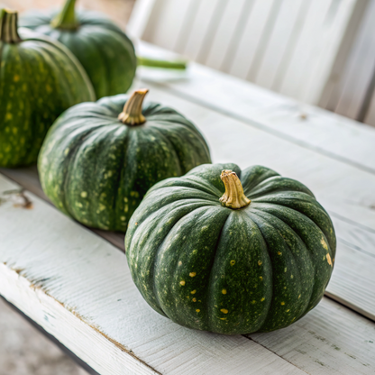 Butternut/Pumpkin