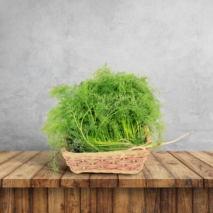 Fennel