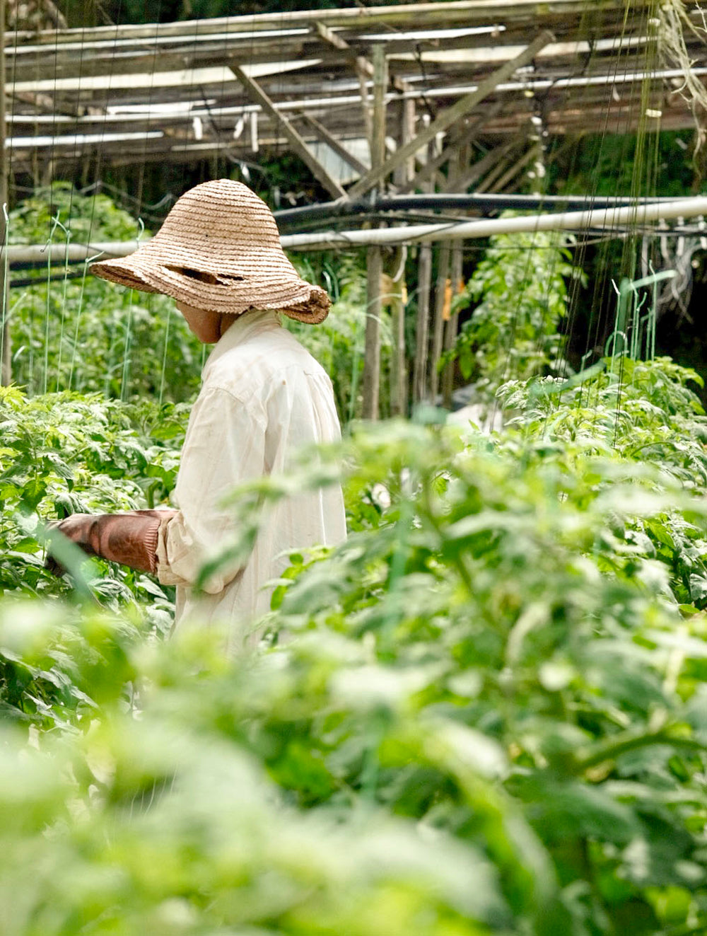 wholesale-talula-hill-farmer-s-box